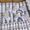 screenshot 1743237151