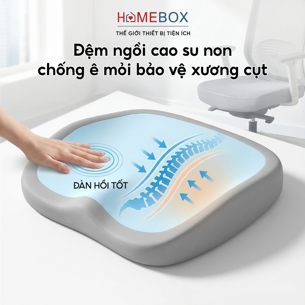Đệm Lót Ghế Cao Su Non