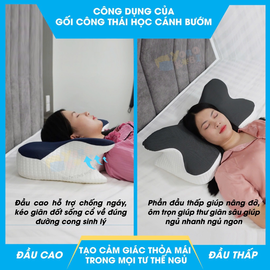 Gối Công Thái Học Cao Su Non