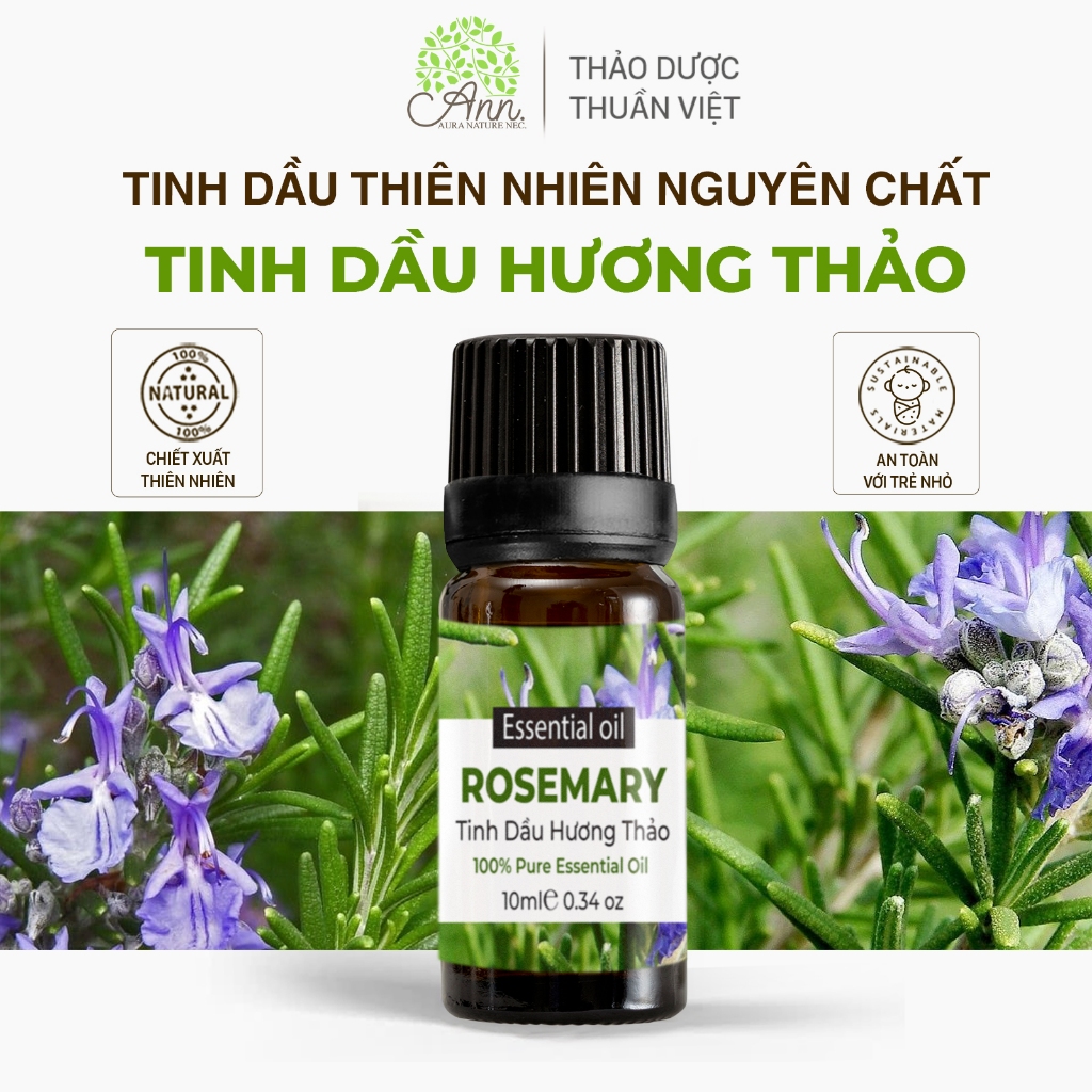 Tinh Dầu Hương Thảo Nguyên Chất