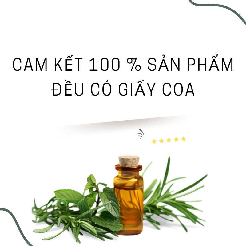 Tinh Dầu Trầm Hương Nguyên Chất Xông Phòng 100Ml Thơm Phòng Treo Xe Dùng Cho Máy Xông